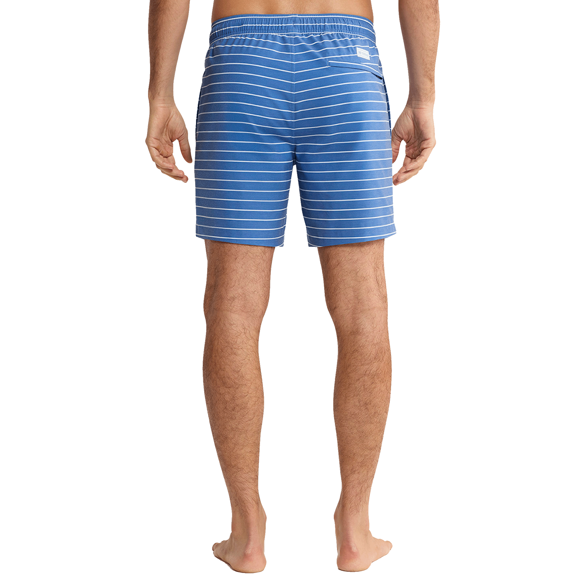 Bayberry Striped Trunk