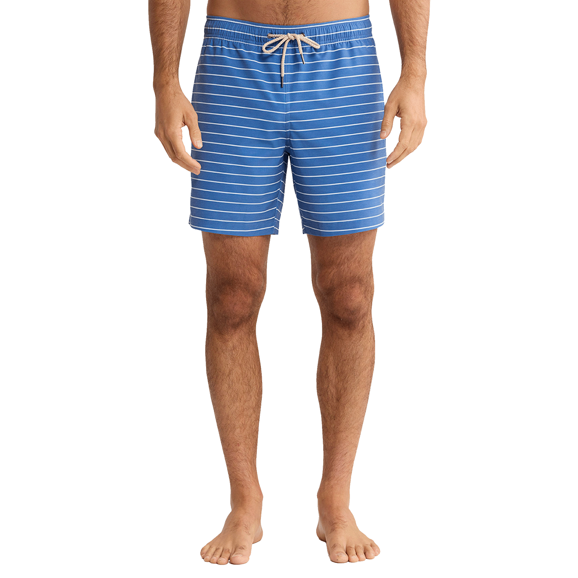 Bayberry Striped Trunk