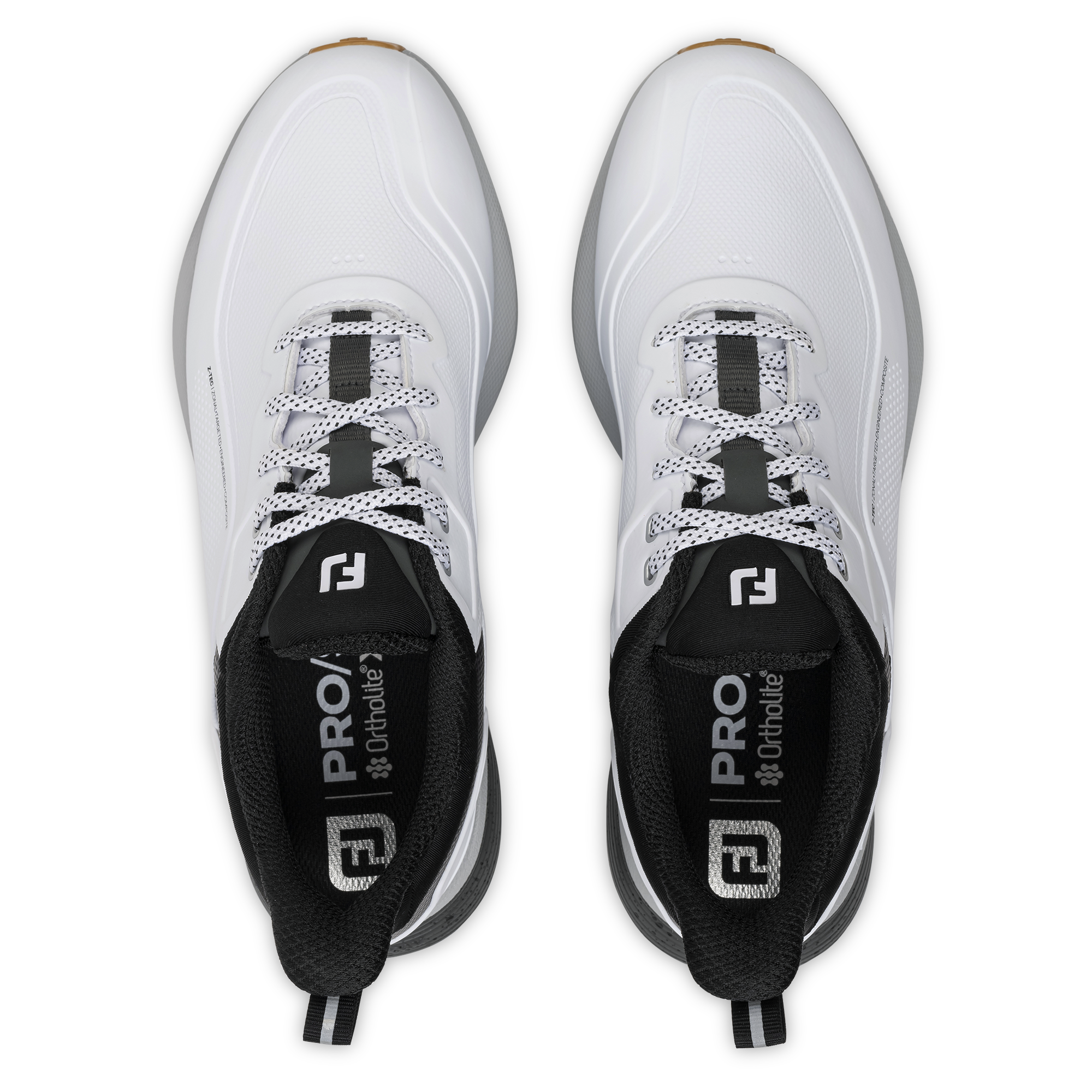 Pro/SL